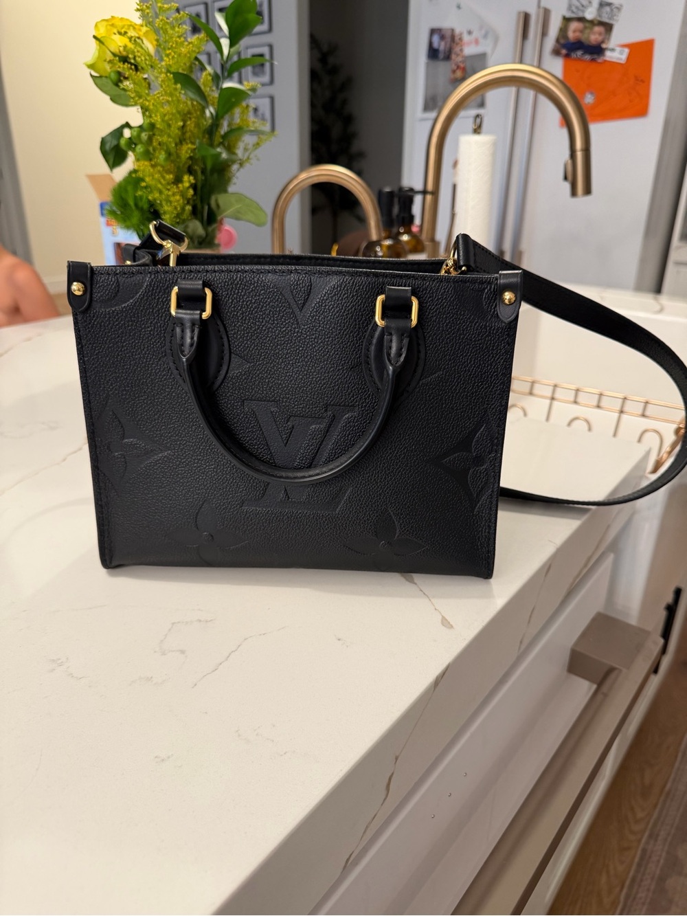 Louis Vuitton Onthego PM